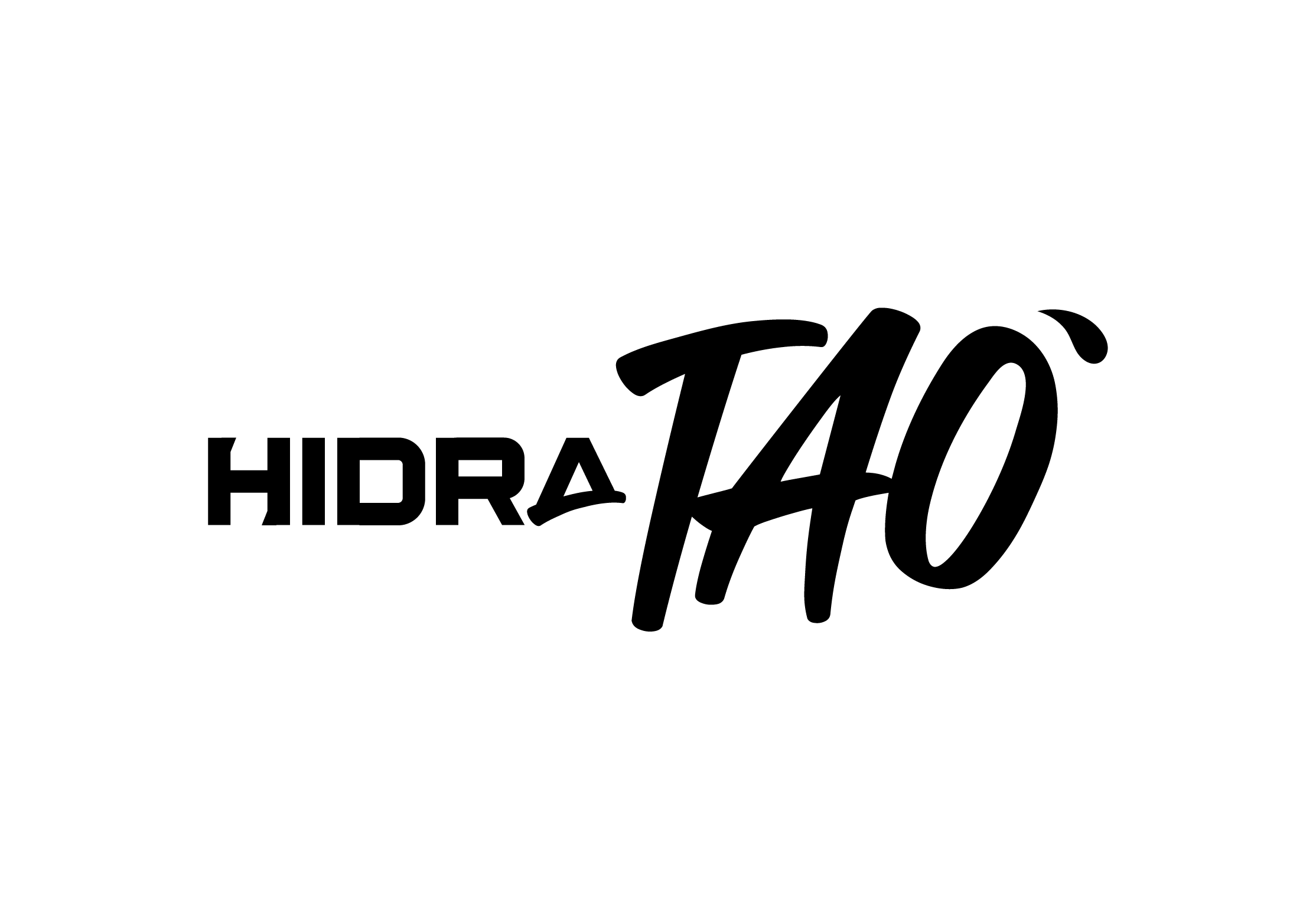 Logo HidaTAO-02 (1)
